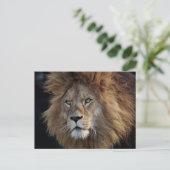 Foto wilde leeuw groene ogen briefkaart (Staand voorkant)