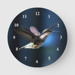 Foto Wildlife Hummingbird Ronde Klok