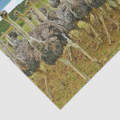 Foto Wildlife Ostrich Flock Tissuepapier (Detail)