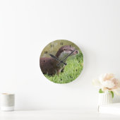 Foto Wildlife Otter Ronde Klok (Huis)