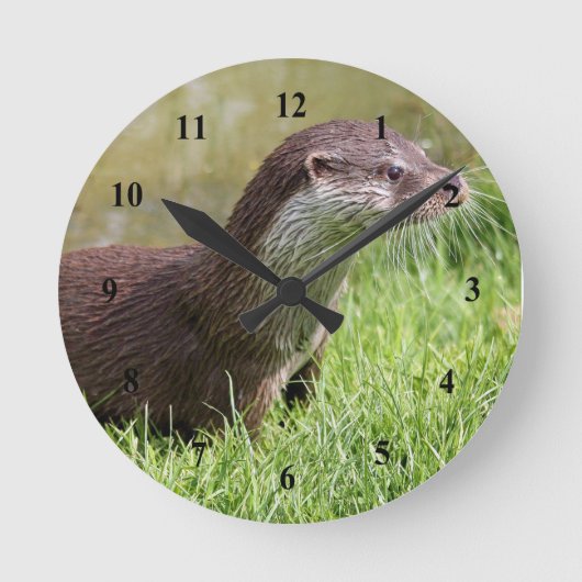 Foto Wildlife Otter Ronde Klok (Voorkant)