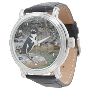 Foto Wildlife Penguin Horloge