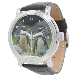 Foto Wildlife Penguin Pair Horloge