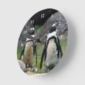 Foto Wildlife Penguin Pair Ronde Klok (Hoek)