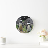 Foto Wildlife Penguin Pair Ronde Klok (Huis)