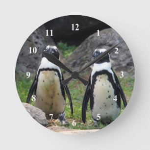 Foto Wildlife Penguin Pair Ronde Klok
