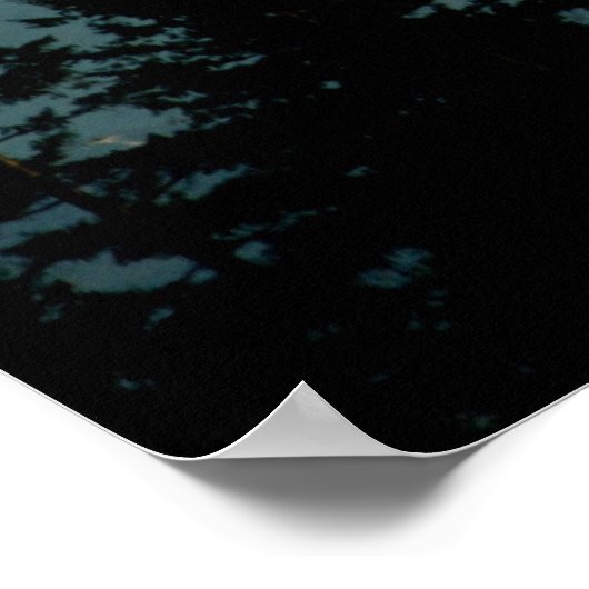 Foto: Winter Mt. Rainier Poster (Hoek)