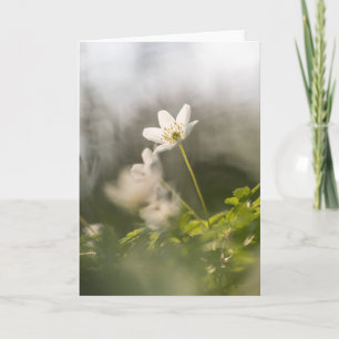 Foto witte natuur kaart