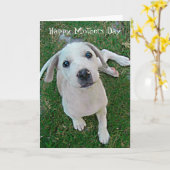 foto witte puppy hond Happy Mothers Day Kaart (Gele Bloem)