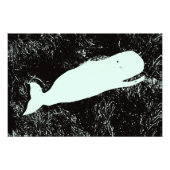 foto witte walvis afdrukken afdruk (Voorkant)