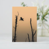 Foto zee-Eagle Wildlife Kaart (Staand voorkant)