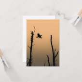 Foto zee-Eagle Wildlife Kaart (Voorkant / Achterkant in situ)