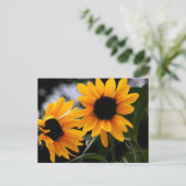 Foto zonnebloem briefkaart (Staand voorkant)