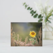 Foto zonnebloempitten Foto Briefkaart (Staand voorkant)