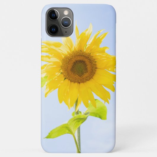Foto zonnebloempitten Foto Case-Mate iPhone Case (Achterkant)