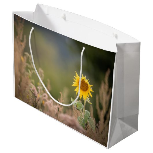 Foto zonnebloempitten Foto Groot Cadeauzakje (Achterkant Gekanteld)