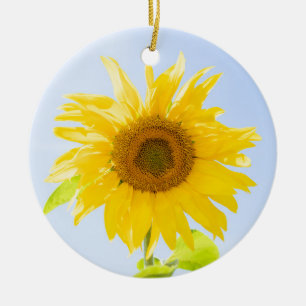 Foto zonnebloempitten Foto Keramisch Ornament