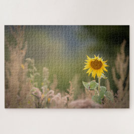 Foto zonnebloempitten Foto Legpuzzel