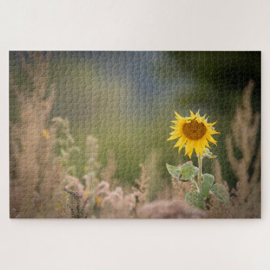 Foto zonnebloempitten Foto Legpuzzel (Horizontaal)