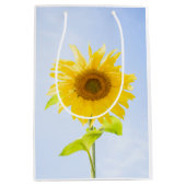 Foto zonnebloempitten Foto Medium Cadeauzakje (Voorkant)