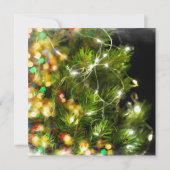 *~* FOTO ZWART ROOD STIPPEN AP20 Kerstfeest Kaart (Achterkant)