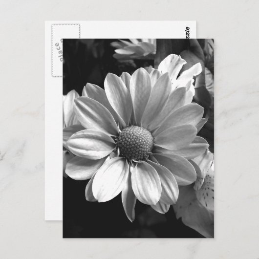 Foto zwart-wit briefkaart (Voorkant / Achterkant)