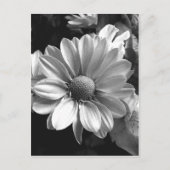 Foto zwart-wit briefkaart (Voorkant)