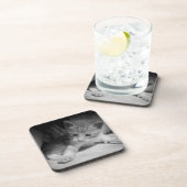 Foto zwart-wit Kitten Bier Onderzetter (Rechterzijde)