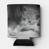 Foto zwart-wit Kitten Blikjeskoeler (Achterkant)