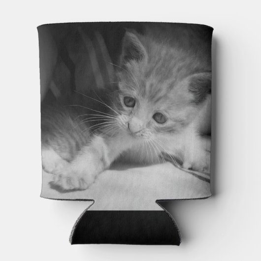 Foto zwart-wit Kitten Blikjeskoeler (Achterkant)