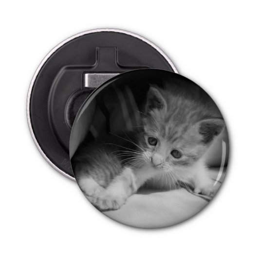Foto zwart-wit Kitten Button Flesopener (Voorkant)