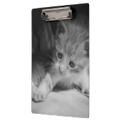 Foto zwart-wit Kitten Klembord (Links)