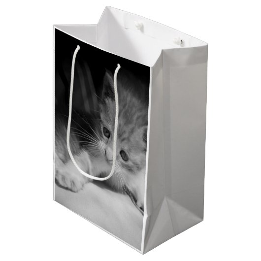 Foto zwart-wit Kitten Medium Cadeauzakje (Voorkant Gekanteld)