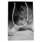 Foto zwart-wit Kitten Medium Cadeauzakje (Voorkant)