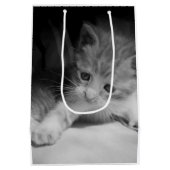 Foto zwart-wit Kitten Medium Cadeauzakje (Achterkant)