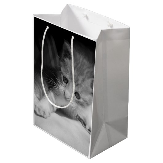 Foto zwart-wit Kitten Medium Cadeauzakje (Achterkant Gekanteld)