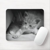 Foto zwart-wit Kitten Muismat (Met muis)
