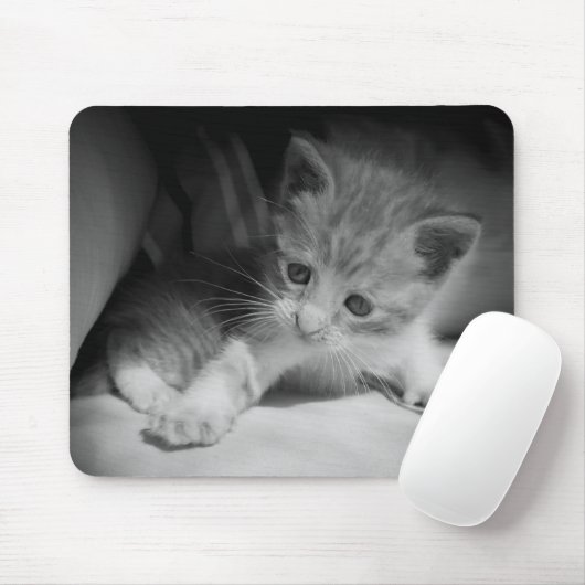 Foto zwart-wit Kitten Muismat (Met muis)
