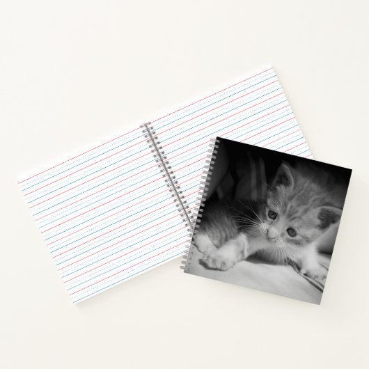 Foto zwart-wit Kitten Notitieboek (Binnen)