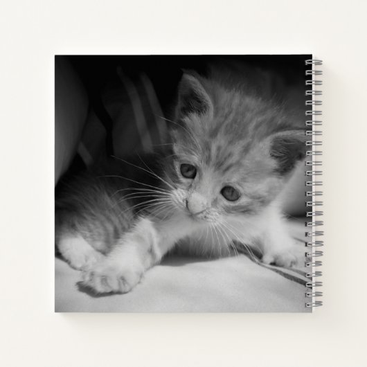 Foto zwart-wit Kitten Notitieboek (Achterkant)