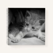 Foto zwart-wit Kitten Notitieboek (Voorkant)