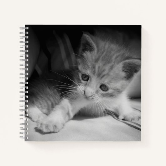 Foto zwart-wit Kitten Notitieboek (Voorkant)