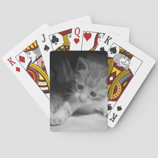 Foto zwart-wit Kitten Pokerkaarten (Achterkant)