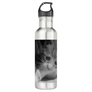 Foto zwart-wit Kitten Waterfles