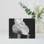 Foto zwart-wit orchidee-ventilator briefkaart (Staand voorkant)