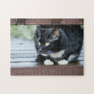Foto zwart-wit Tuxedo Cat Legpuzzel