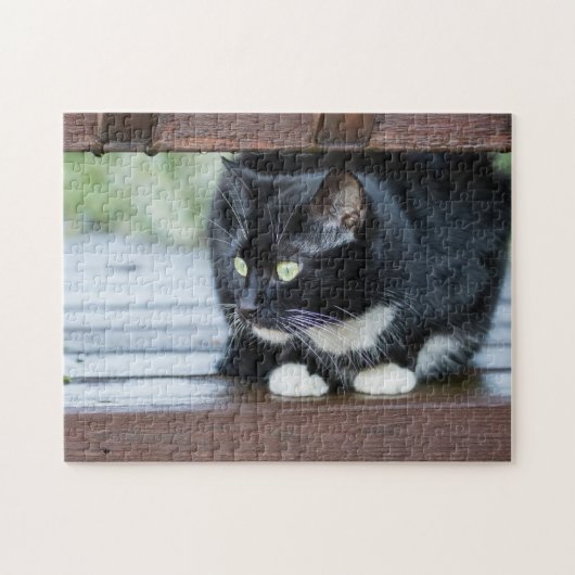 Foto zwart-wit Tuxedo Cat Legpuzzel (Horizontaal)