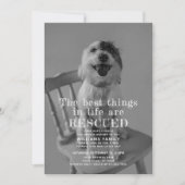 Fotoaankondiging gered Pet Adoption Kaart (Voorkant)