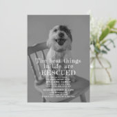 Fotoaankondiging gered Pet Adoption Kaart (Staand voorkant)