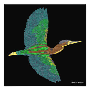 Fotoafdruk - Groene Reiger (zwart) Foto Afdruk